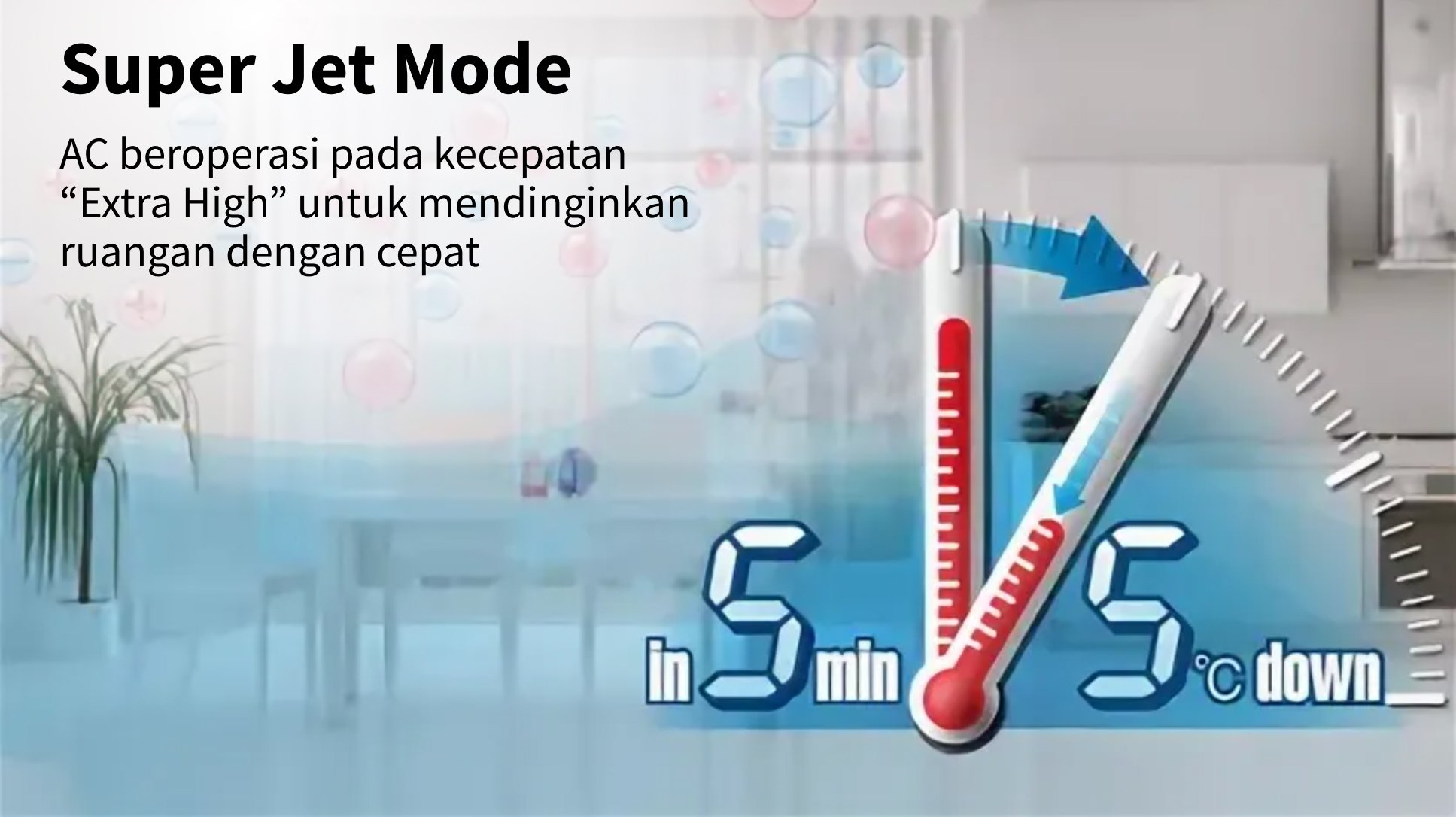 info 5